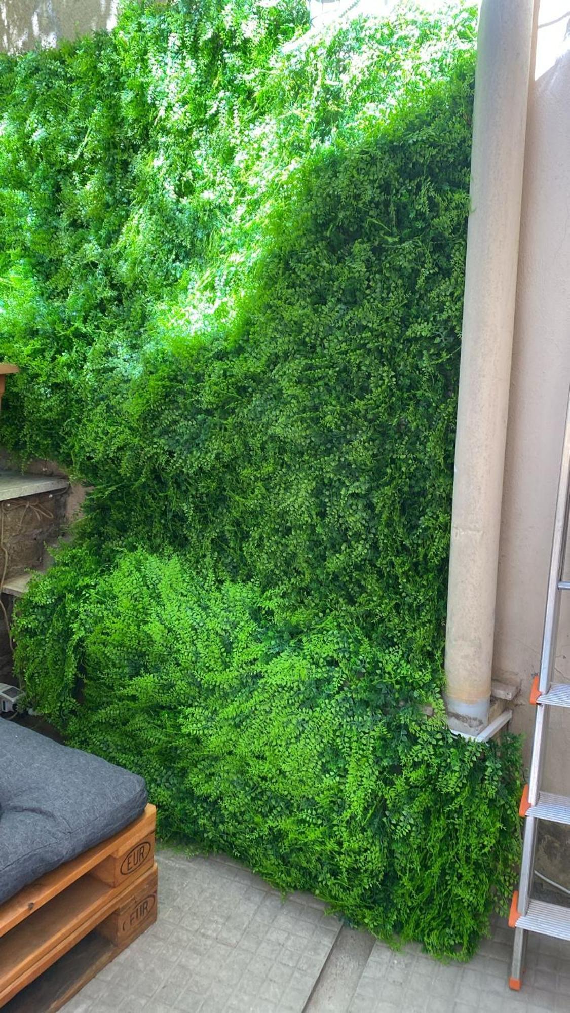The Green House روما المظهر الخارجي الصورة